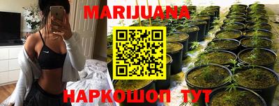 прущие крисы Донской