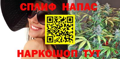 гашик Донецк