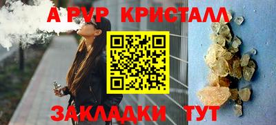 прущие крисы Донской