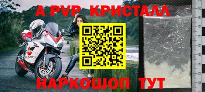 прущие крисы Донской