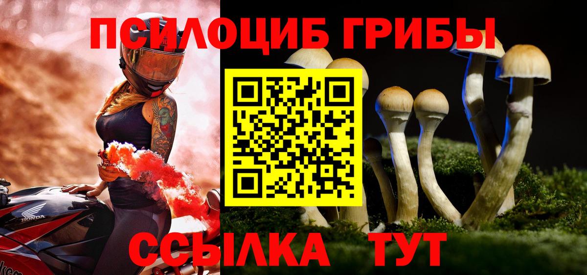 Майкоп  Галлюциногенные грибы MAGIC MUSHROOMS  Вход с VPN  Галлюциногенные грибы прущие грибы 