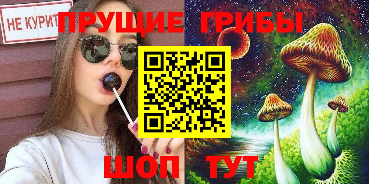 A PVP Майкоп